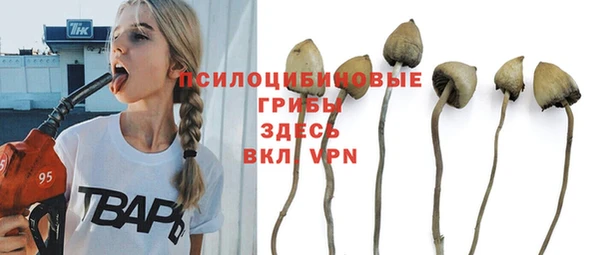 гидра Алексин