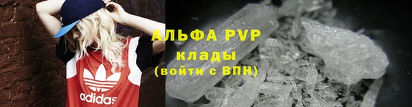 гидра Алексин