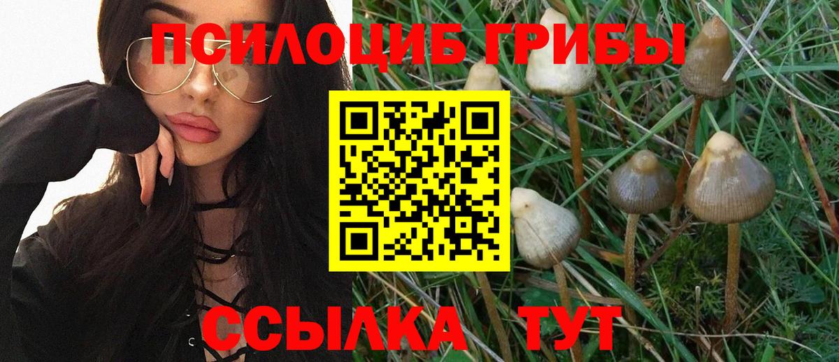 Галлюциногенные грибы прущие грибы  Галлюциногенные грибы MAGIC MUSHROOMS  Белгород  Вход с VPN 
